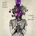 GOO GOO DOLLS-CHAOS IN BLOOM (CD)