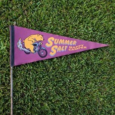 SUMMER SALT-HAPPY CAMPER (LP)