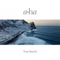 A-HA-TRUE NORTH (CD)