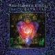 FLOWER KINGS-SPACE REVOLVER -REISSUE- (CD)