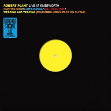 ROBERT PLANT-LIVE AT KNEBWO -RSD- (LP)