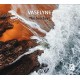 VASELYNE-SEA SAYS (CD)