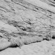 DELAY/AARSET-SINGLES (LP)