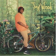 JAYWOOD-SLINGSHOT -COLOURED- (LP)