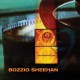 TERRY BOZZIO & BILLY SHEEHAN-NINE SHORT FILMS (CD)