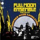 FULL MOON ENSEMBLE-CROWDED WITH LONELINESS (LP)