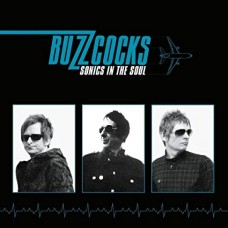 BUZZCOCKS-SONICS IN THE SOUL (LP)