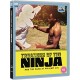 FILME-TREASURE OF THE NINJA (BLU-RAY)