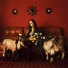 TSHA-CAPRICORN SUN (CD)