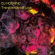 DJ HOSHINO-TRANSCENDENTAL LOVE (LP)