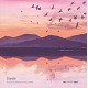COYOTE-EVERYTHING MOVES, NOTHING RESTS (LP)
