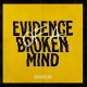 TWO AND A HALF GIRL-EVIDENCE OF A BROKEN MIND (LP)