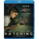 FILME-HATCHING (BLU-RAY)