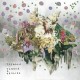 TSEMBLA-TERROR & HEALING (LP)