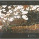 KITARO-SACRED JOURNEY OF ..V.2 (CD)