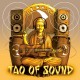 TAO OF SOUND-METRO  (CD)