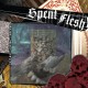 SPENT FLESH-DEVIANT BURIAL CUSTOMS (7")