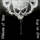 VISIONS OF WAR/COP ON FIRE-SPLIT (CD)