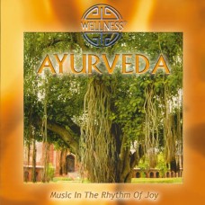 GURU ATMAN-AYURVEDA-MUSIC IN THE (CD)