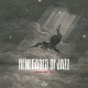 RENEGADES OF JAZZ-PARADISE LOST (CD)