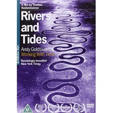 DOCUMENTÁRIO-RIVERS AND TIDES: ANDY.. (DVD)