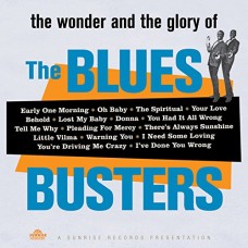 BLUES BUSTERS-WONDER AND GLORY OF (CD)
