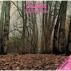 TWINK-THINK PINK (2CD)