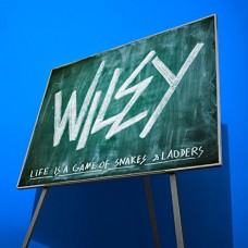 WILEY-SNAKES & LADDERS (2LP)