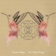 DAVID PHILIPS-IF I HAD WINGS (CD)