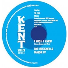 V/A-I WISH I KNEW/I STAND BLUE (7")