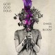 GOO GOO DOLLS-CHAOS IN BLOOM (LP)