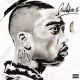 WILEY-GODFATHER II (CD)