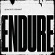 SPECIAL INTEREST-ENDURE -COLOURED- (LP)