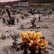 LISA BODNAR & WHISTLEGRASS-40 YEARS IN THE DESERT (CD)