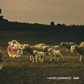 AGIR-CANTAR CARNEIROS (CD)
