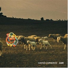 AGIR-CANTAR CARNEIROS (CD)