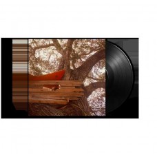 BACKSEAT LOVERS-WAITING TO SPILL (LP)