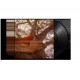 BACKSEAT LOVERS-WAITING TO SPILL (LP)