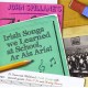 JOHN SPILLANE-IRISH SONGS WE LEARNED AT SCHOOL (2CD)