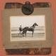 LIMBLIFTER-LITTLE PAYNE (LP)