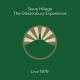 STEVE HILLAGE-GLASTONBURY EXPERIENCE (LIVE 1979) (CD)
