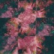 SAY SHE SHE-PRISM (LP)