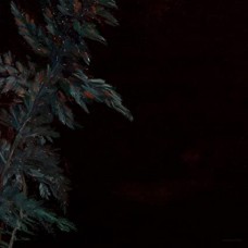 LUCY ROLEFF/LEHMANN B. SMITH-DARK GREEN (LP)