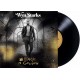 WYN STARKS-BLACK IS GOLDEN (LP)