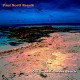 PAUL SCOTT RESNIK-OUT ON INSTRUMENT BEACH (CD)