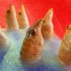 HARVEY RUSHMORE & THE OCTOPUS-FREEDOMSPACECAKE (CD)