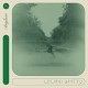 LELAND WHITTY-ANYHOW (LP)