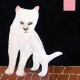 DUSTER 69-DUSTER -COLOURED- (LP)