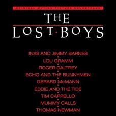 V/A-LOST BOYS -COLOURED- (LP)
