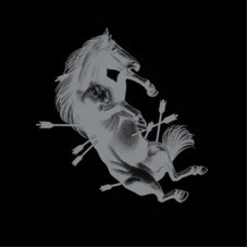 TOUCHE AMORE-DEAD HORSE X (LP)